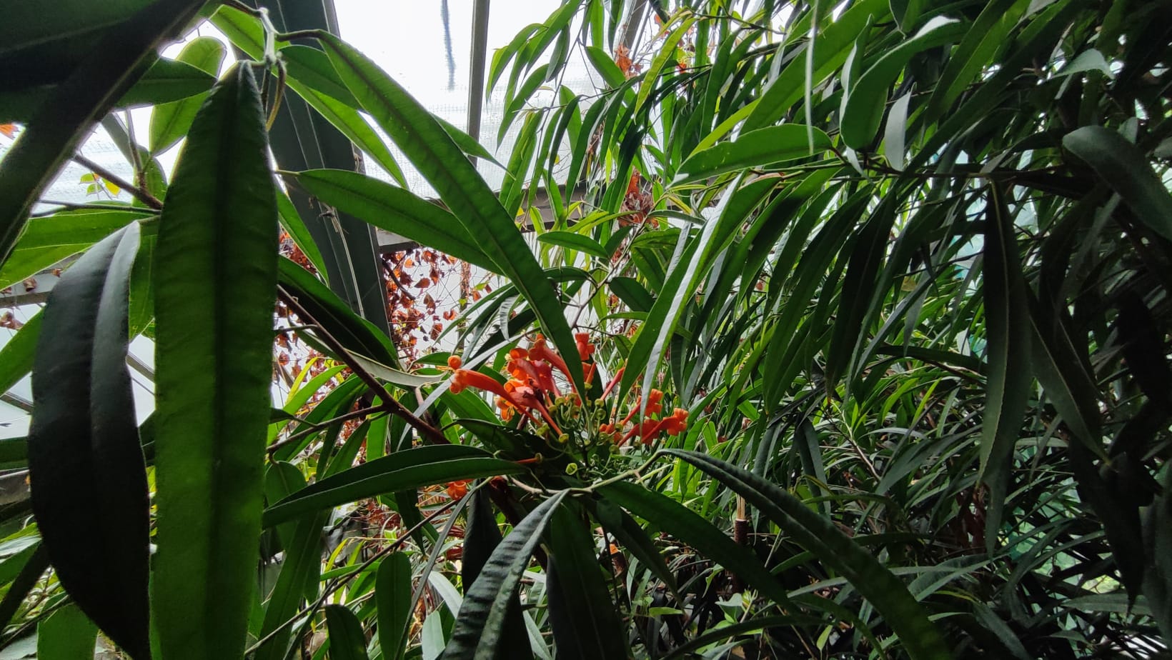 IMG-20230430-WA0007